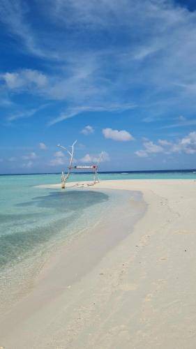 Photo of Others in Omadhoo