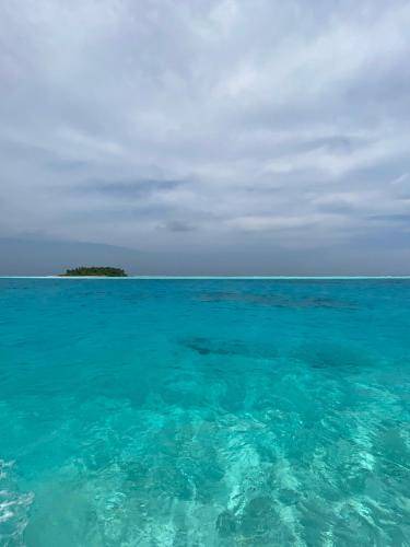 Photo of Others in Rinbudhoo