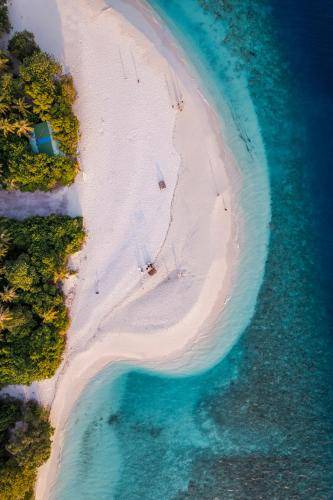 Photo of Others in Kamadhoo