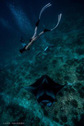 Photo of Others in Dhigurah