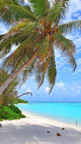 Photo of Others in Mahibadhoo