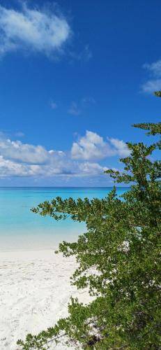 Photo of Others in Dhigurah