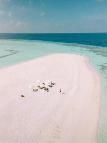 Photo of Others in Dhigurah
