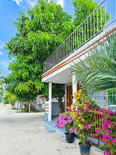 Photo of Buildings in Himmafushi