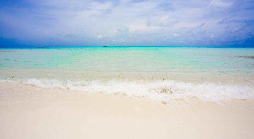 Photo of Others in Thoddoo