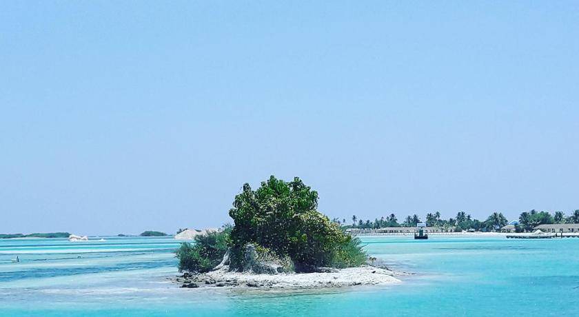 Photo of Others in Hulhudhoo