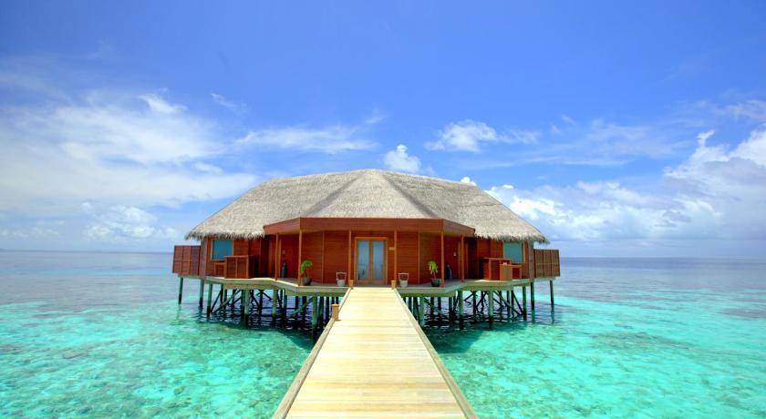 Photo of Others in Mirihi
