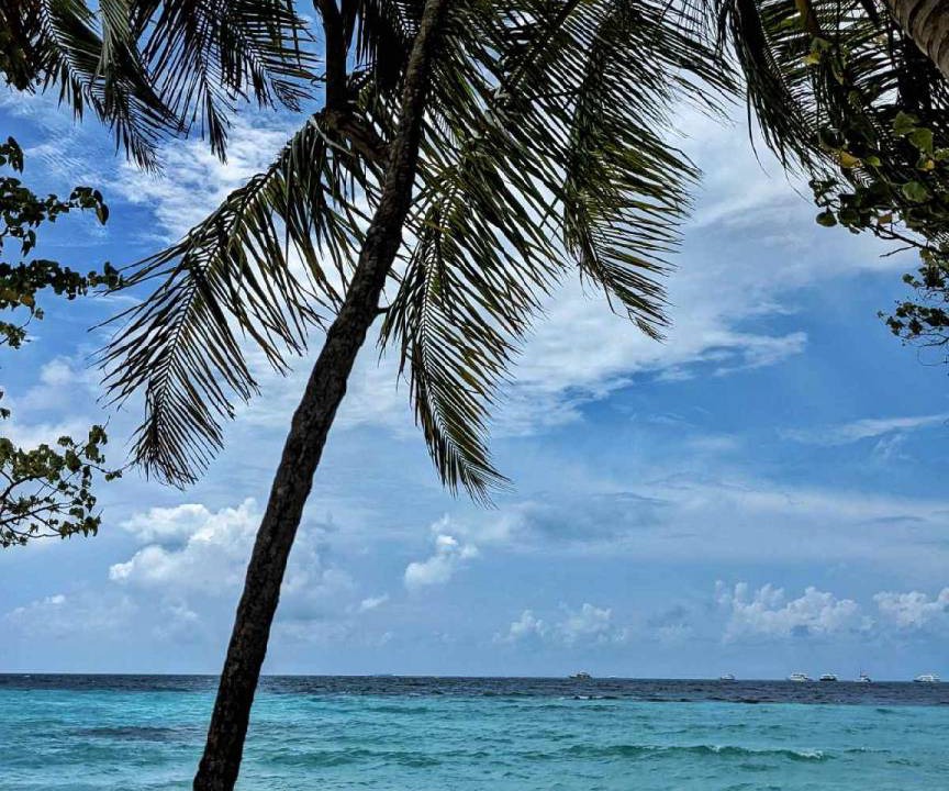 Photo of Others in Thulusdhoo Island