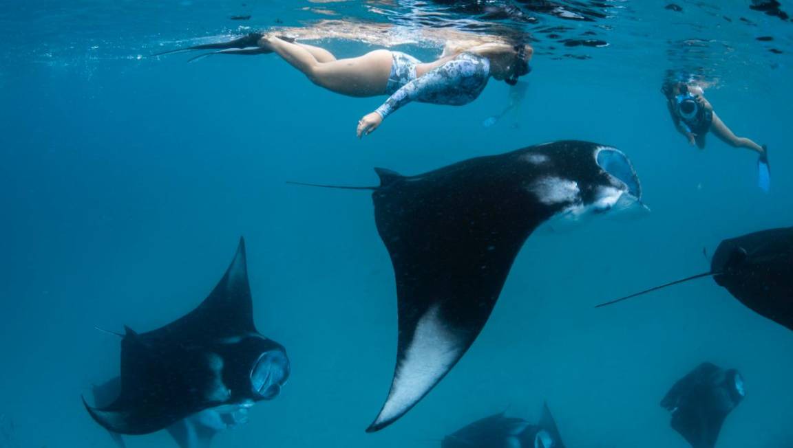 Photo of Others in Fehendhoo