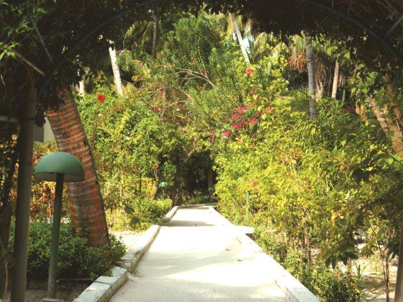 Photo of Others in Biyadhoo Island