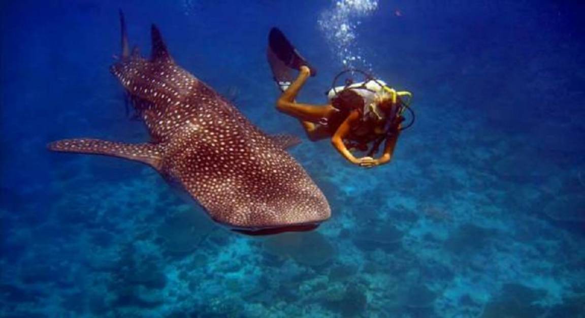 Photo of Human In Picture in Thulusdhoo Island