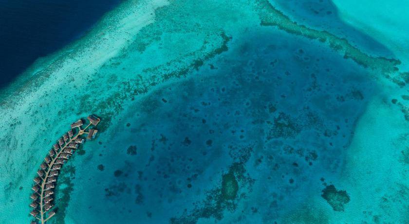 Photo of Others in Baa Atoll