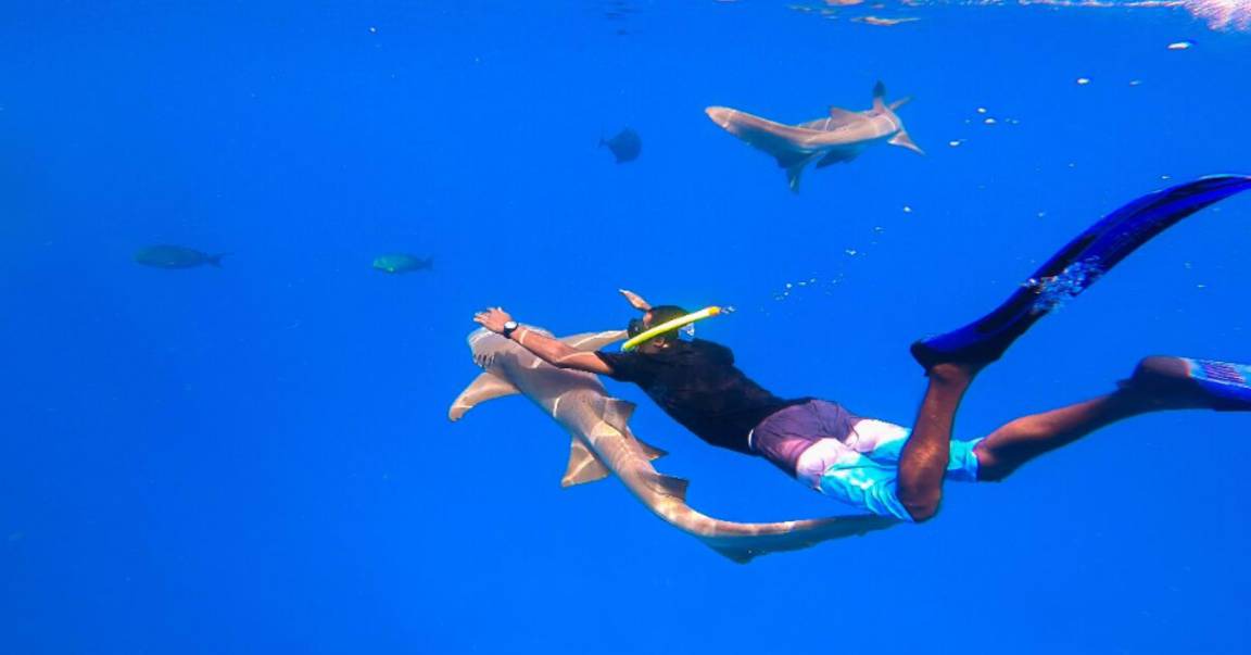 Photo of Others in Fulidhoo