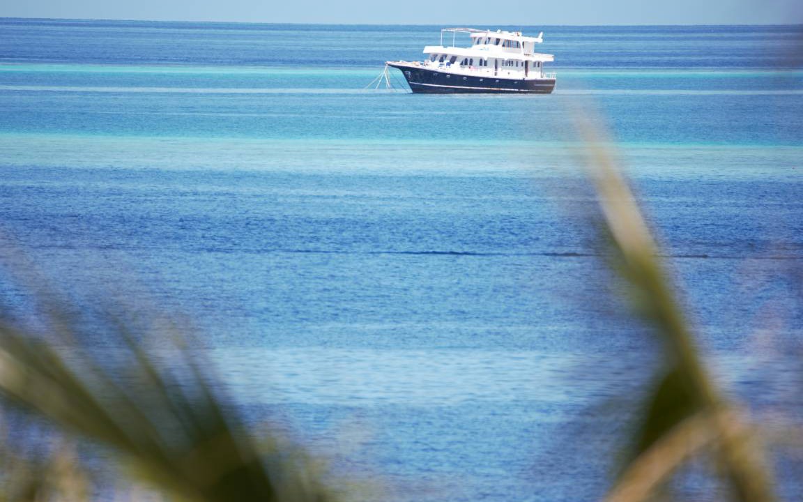 Photo of Others in Thulusdhoo Island