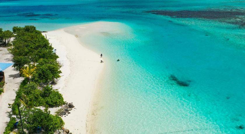 Photo of Others in Dhiffushi