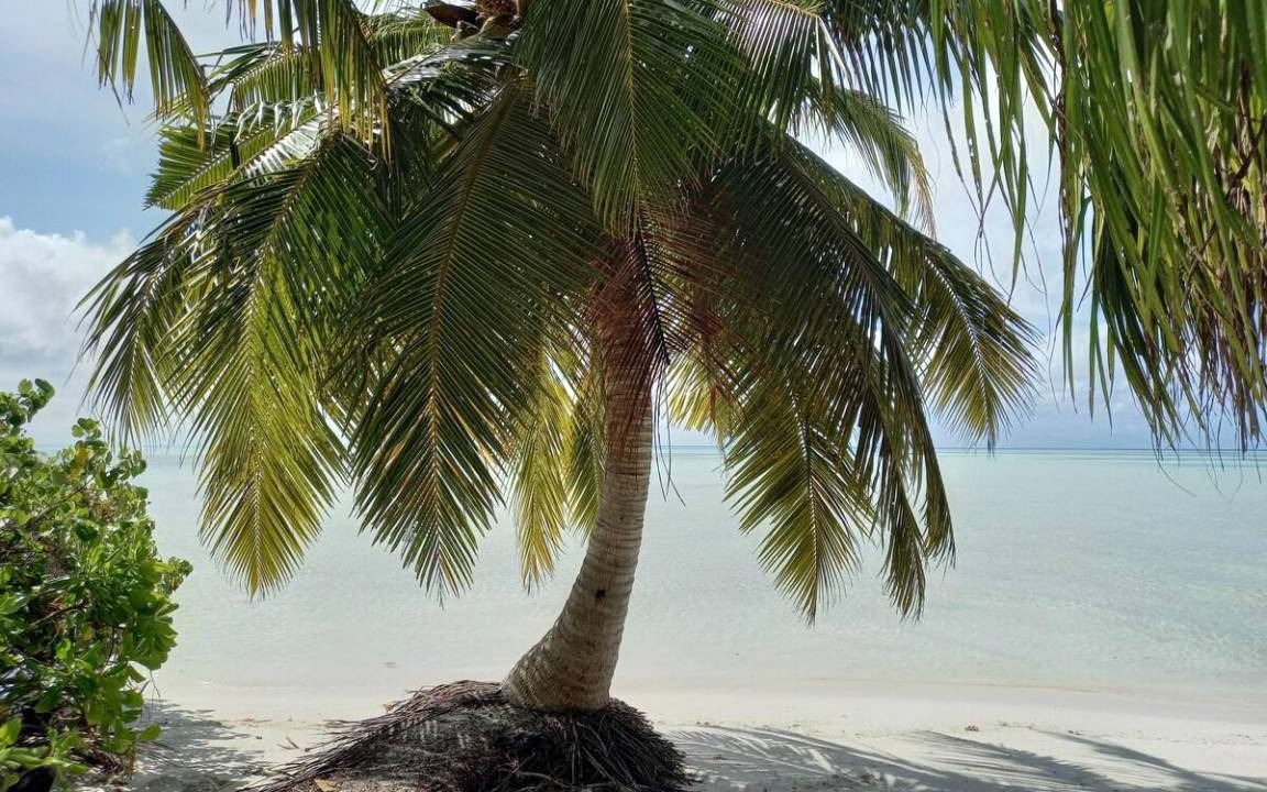 Photo of Others in Faafu Atoll
