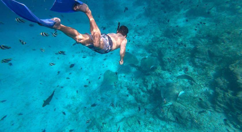 Photo of Others in Himmafushi