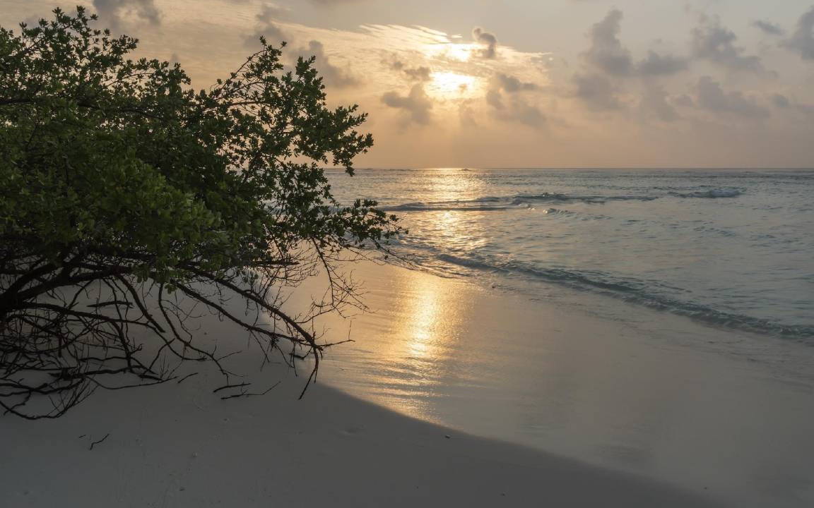 Photo of Others in Rasdhoo