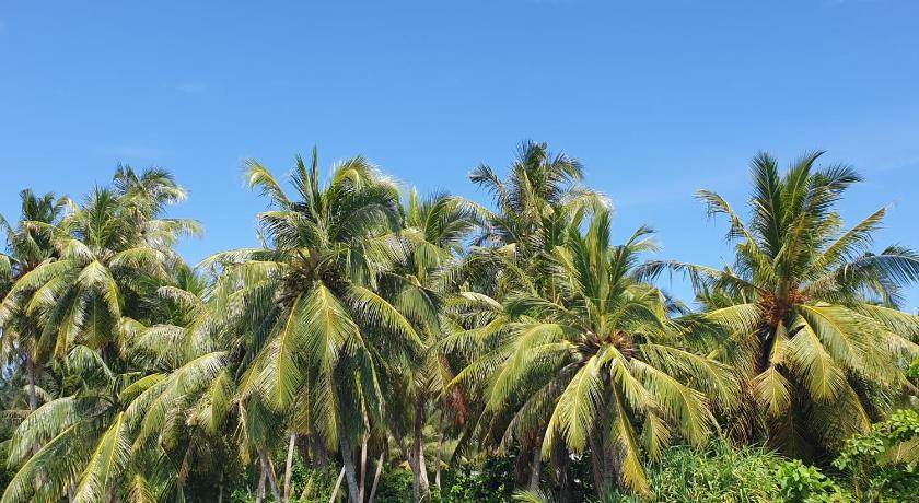 Photo of Others in Fehendhoo