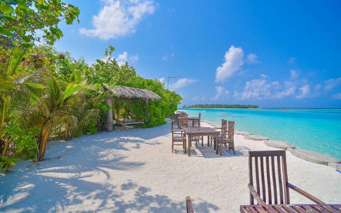 Photo of Others in Dhiffushi