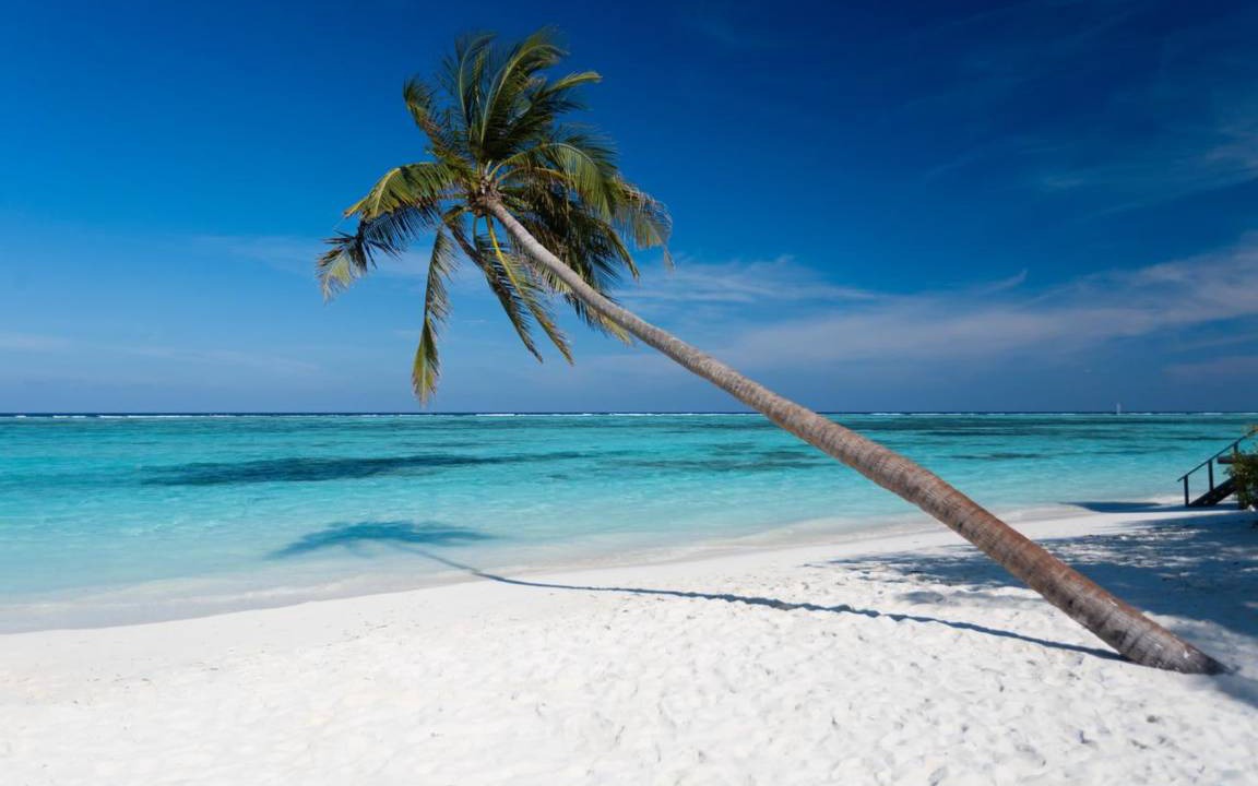 Photo of Others in Thulusdhoo Island