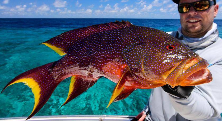 Photo of Others in Dhiffushi