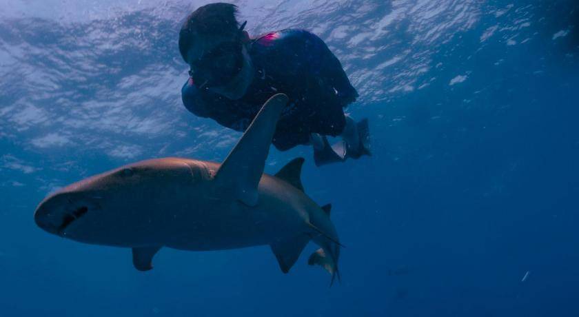 Photo of Others in Dhigurah