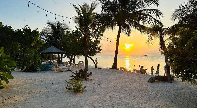 Photo of Others in Dhiffushi