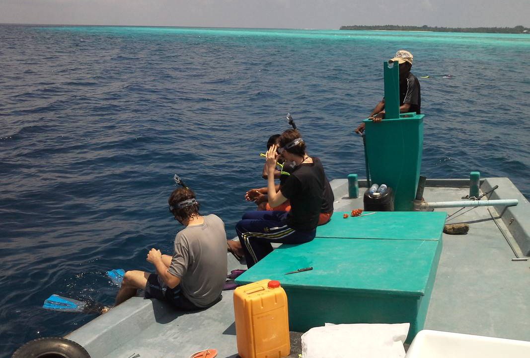 Photo of Others in Kaashidhoo