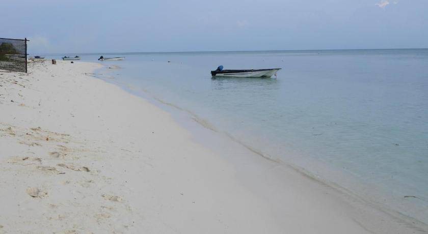 Photo of Others in Thoddoo