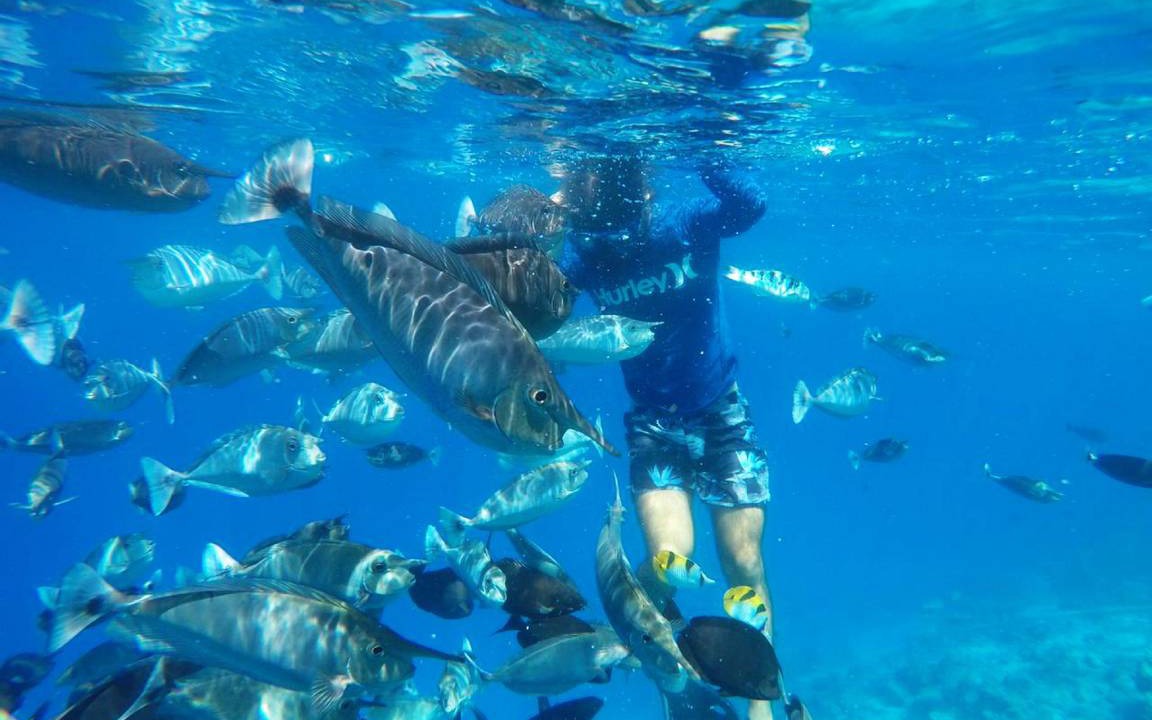Photo of Others in Guraidhoo