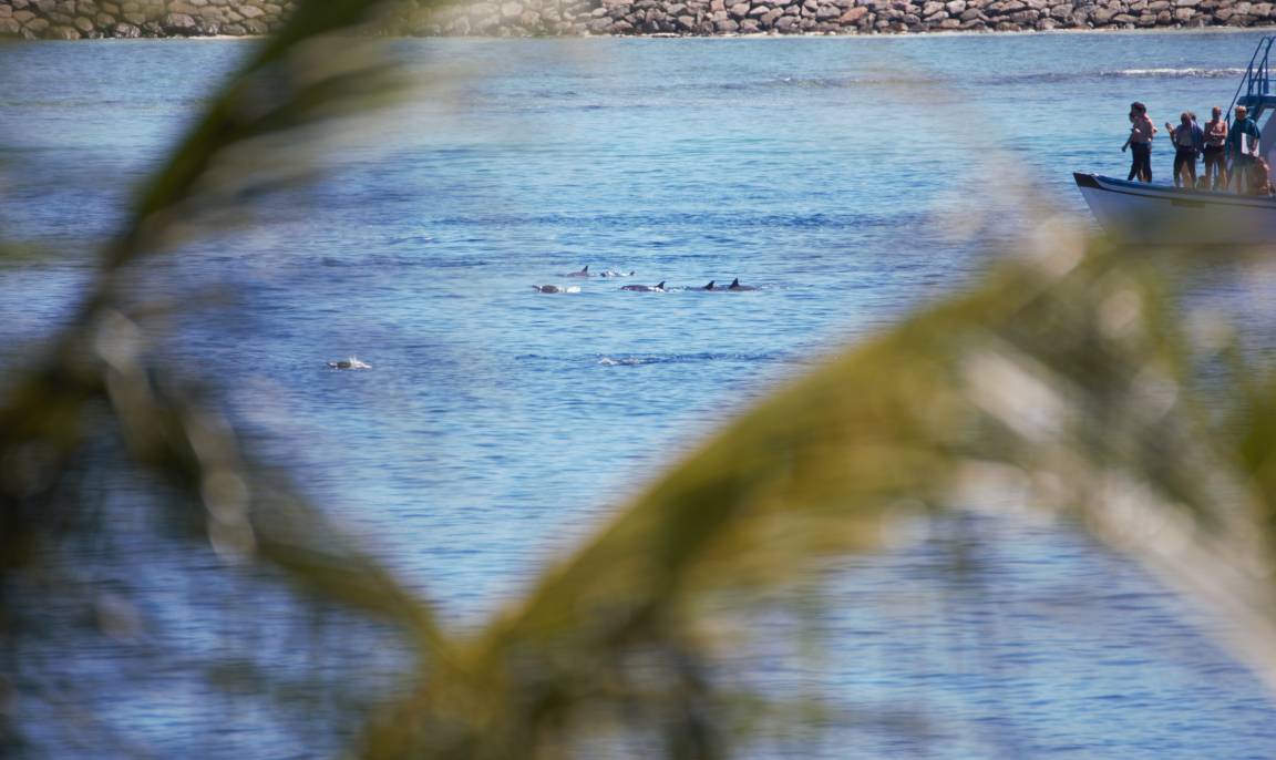 Photo of Human In Picture in Thulusdhoo Island