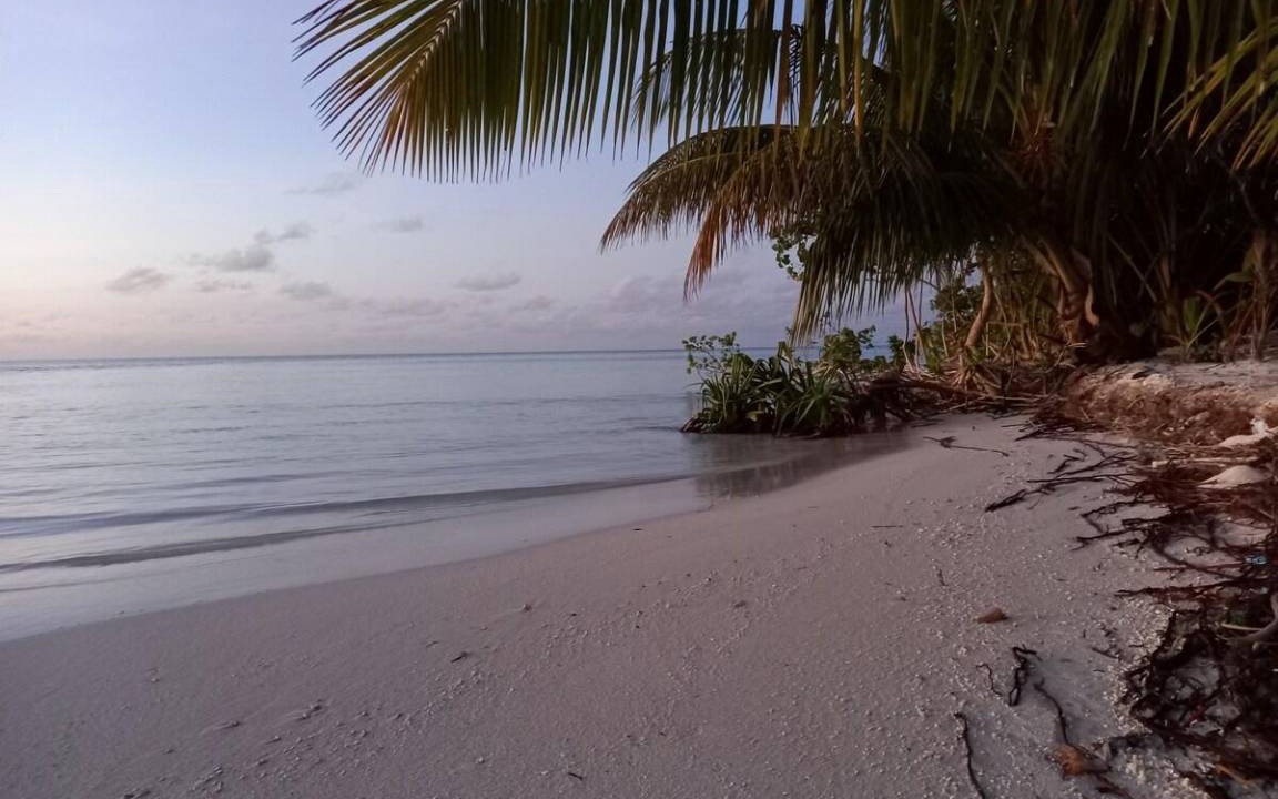 Photo of Others in Faafu Atoll