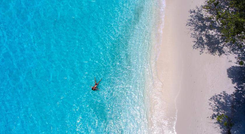 Photo of Others in Fasmendhoo