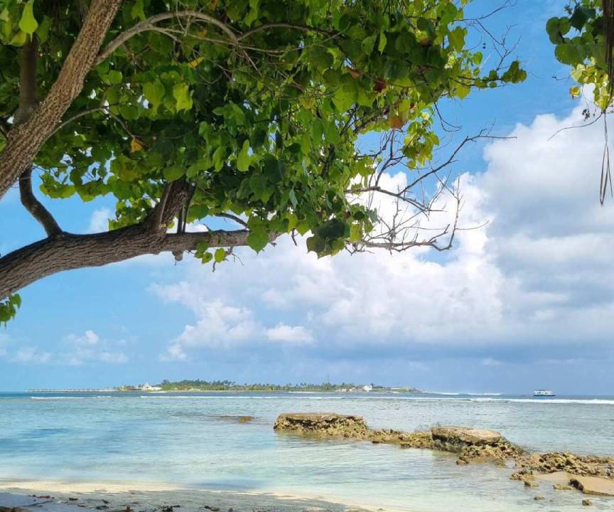 Photo of Others in Thulusdhoo Island
