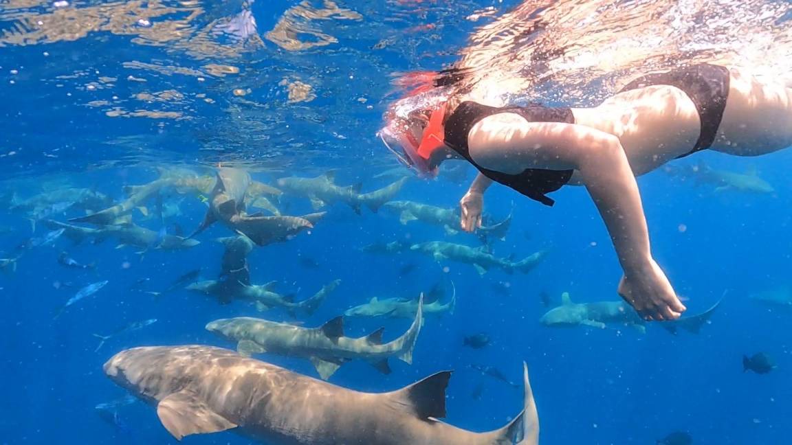 Photo of Human In Picture in Dhigurah