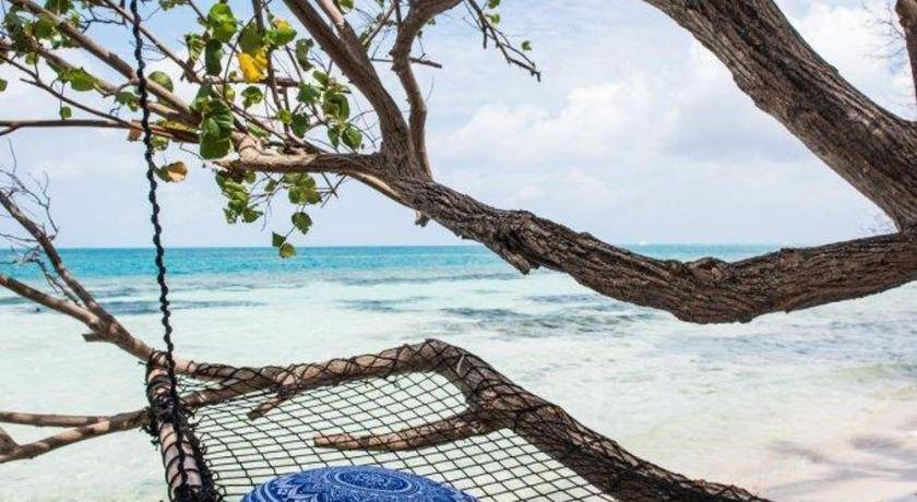 Photo of Others in Dhiffushi