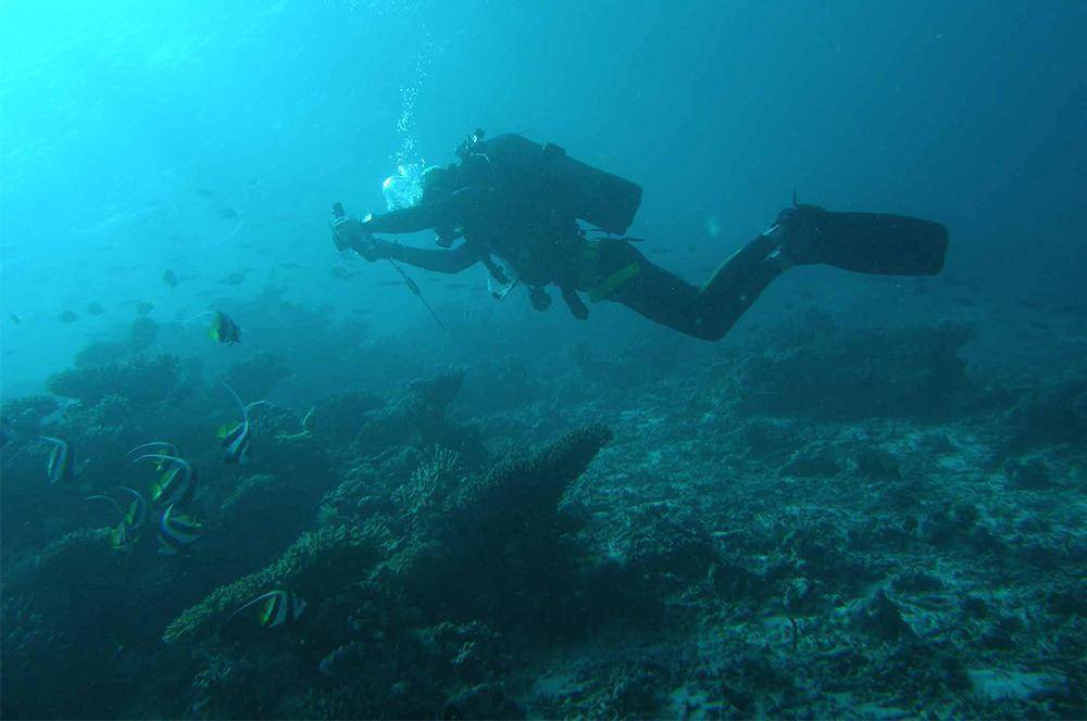 Photo of Others in Mahibadhoo