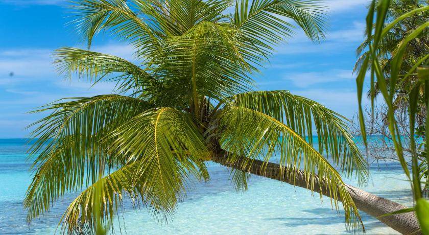 Photo of Others in Dhigurah