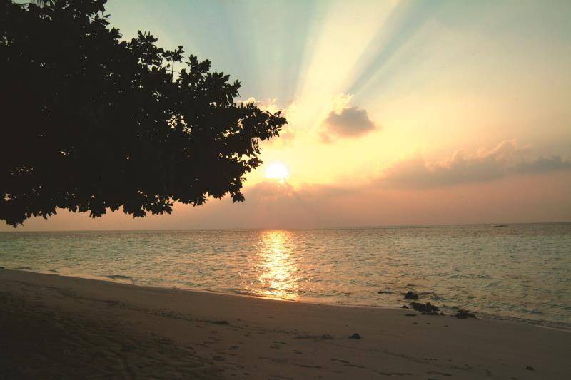 Photo of Others in Biyadhoo Island