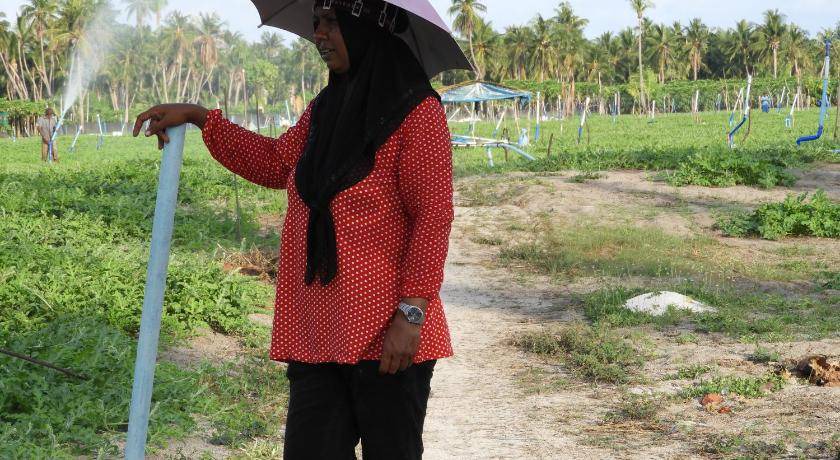 Photo of Others in Thoddoo