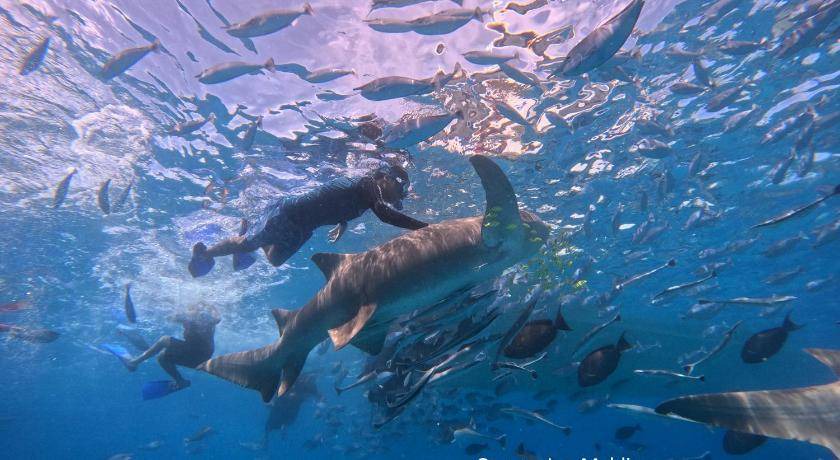 Photo of Others in Kudahuvadhoo