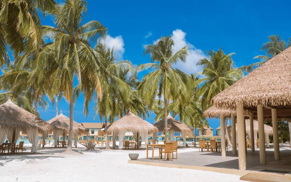 Photo of Others in Filaidhoo