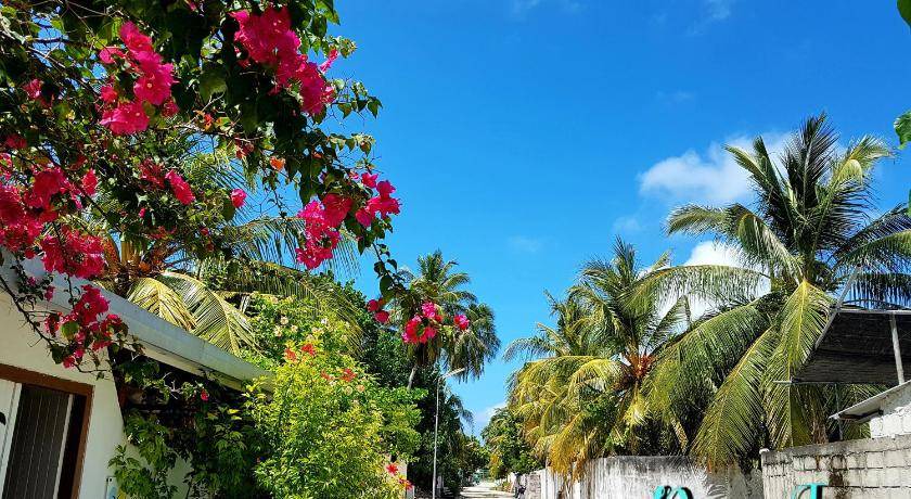 Photo of Others in Thulusdhoo Island