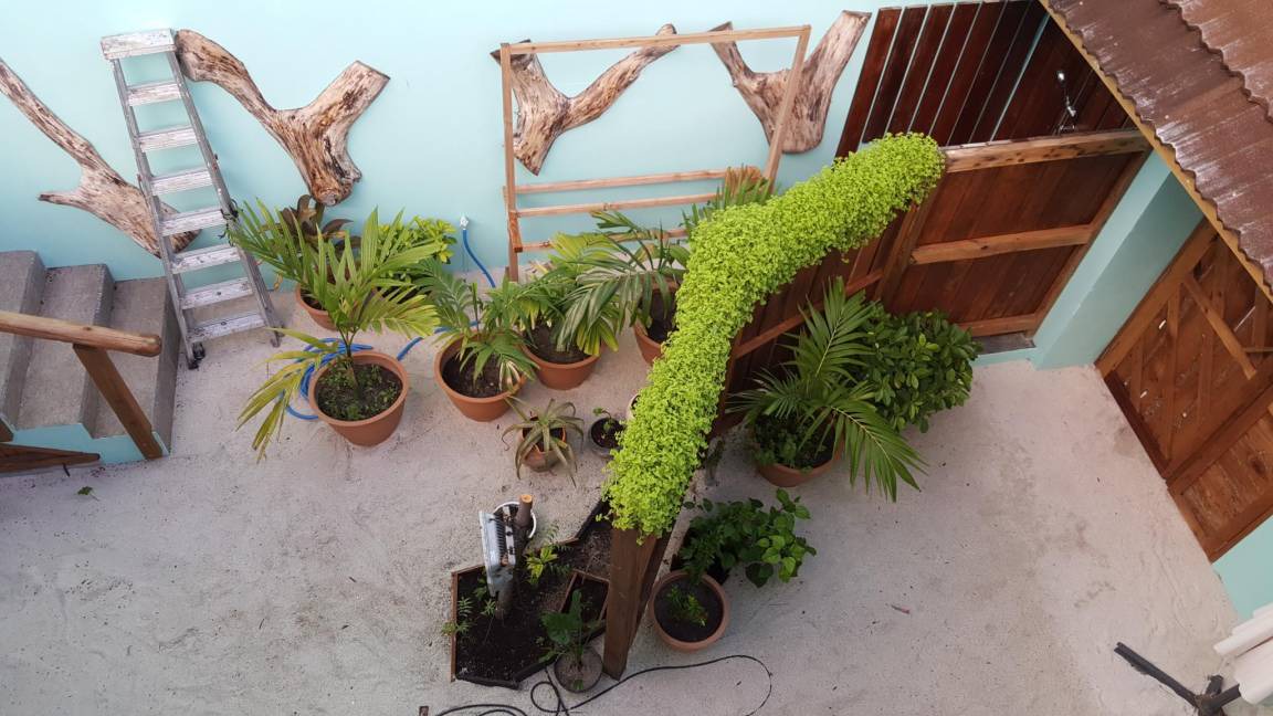 Photo of Others in Rasdhoo