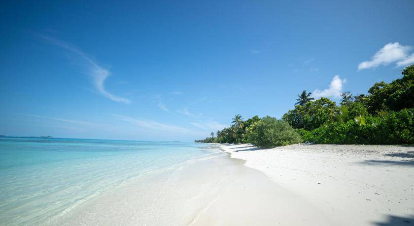 Photo of Others in Dhigurah