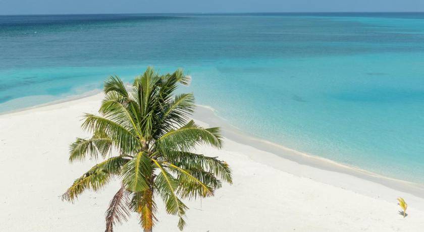 Photo of Others in Fulidhoo