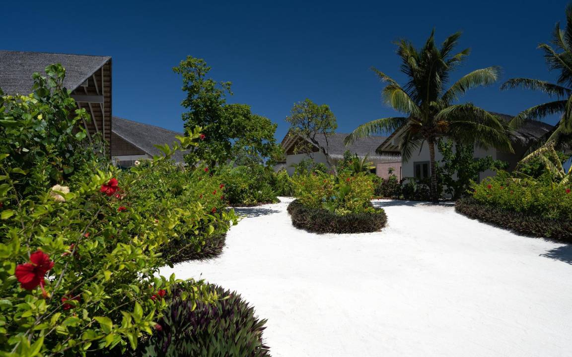 Photo of Others in Maamigili Island