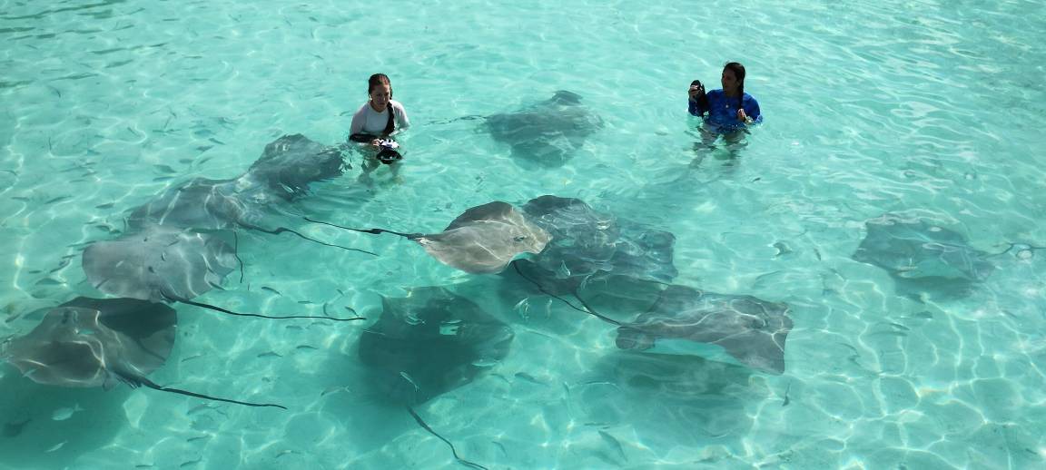 Photo of Others in Fulidhoo