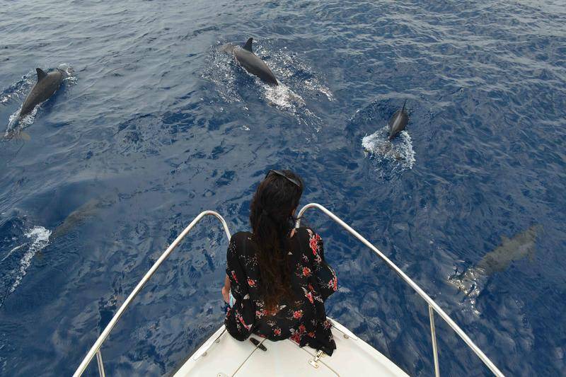 Photo of Others in Thulusdhoo Island